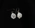 925 Coin Script Earrings