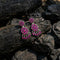 Pre Order 925 Kempu Earrings