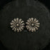 Silver Parrot studs