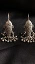 Tribal Fish Earrings
